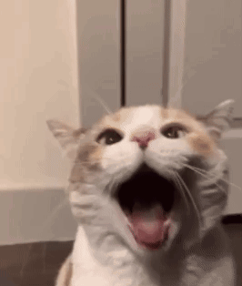 A Close Up Of A Cat With Its Mouth Open And Its Tongue Out . GIF
