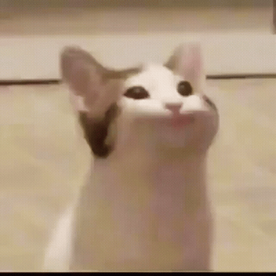 A Close Up Of A Cat With Its Mouth Open And Looking Up . GIF
