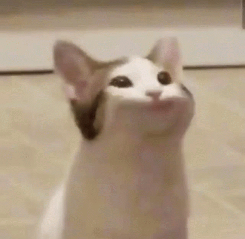A Close Up Of A Cat With Its Mouth Open And Looking Up . GIF