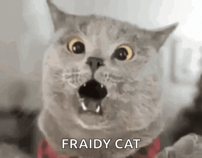 A Close Up Of A Cat With Its Mouth Open And The Words `` Fraidy Cat '' Written On It . GIF