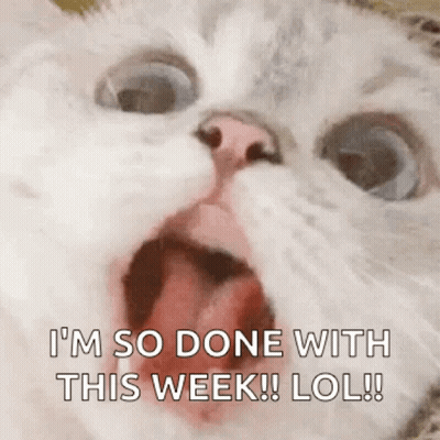 A Close Up Of A Cat With Its Mouth Open And The Words I 'M So Done With This Week Lol . GIF
