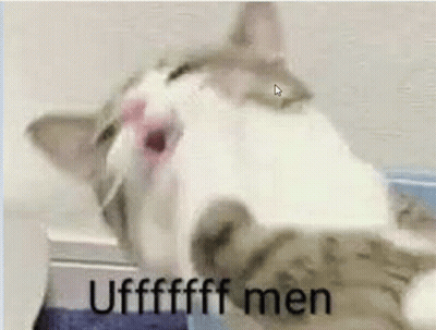 A Close Up Of A Cat With Its Mouth Open And The Words `` Ufffffff Men '' Written Above It . GIF