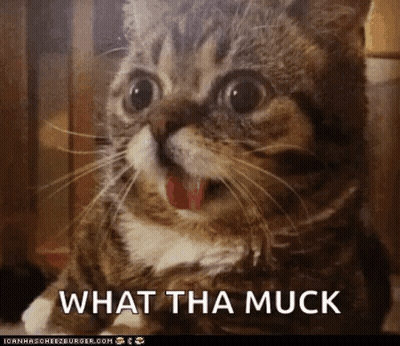 A Close Up Of A Cat With Its Mouth Open And The Words What Tha Muck Below It GIF