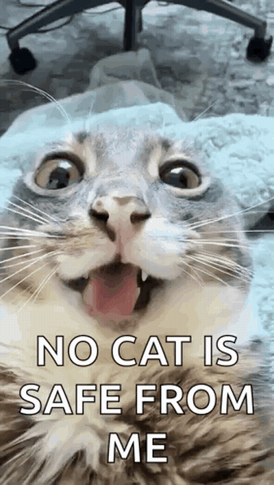 A Close Up Of A Cat With Its Tongue Hanging Out And A Caption That Says `` No Cat Is Safe From Me '' . GIF