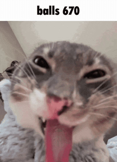 a close up of a cat with its tongue hanging out and the text balls 670 above it