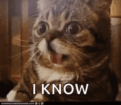A Close Up Of A Cat With Its Tongue Hanging Out And The Words I Know Written On The Bottom GIF