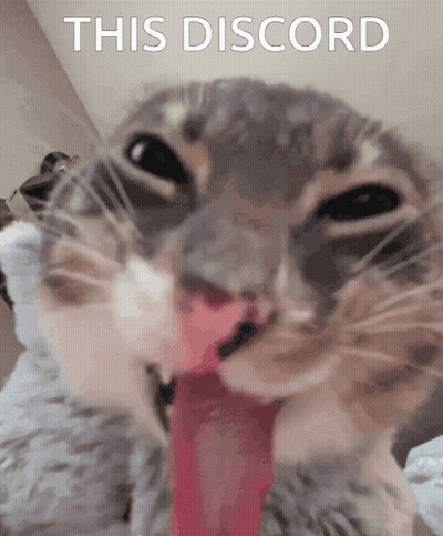 A Close Up Of A Cat With Its Tongue Hanging Out And The Words " This Discord " Above It GIF