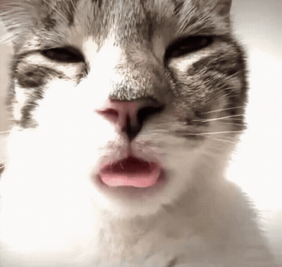 Freaky GIFs