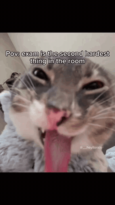 A Close Up Of A Cat With Its Tongue Sticking Out . GIF