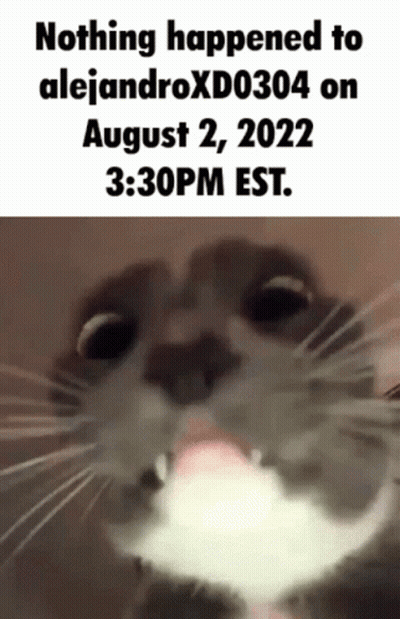 A Close Up Of A Cat With The Caption Nothing Happened To Alejandroxd0304 On August 2 , 2022 GIF