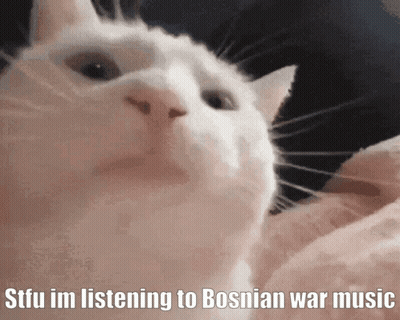 A Close Up Of A Cat With The Caption Stfu Im Listening To Bosnia War Music GIF
