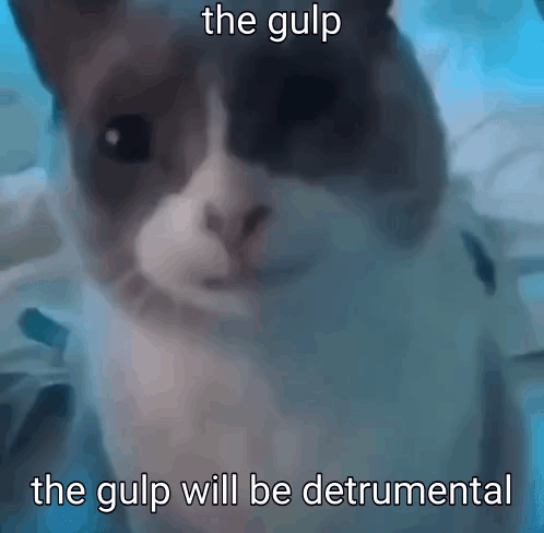A Close Up Of A Cat With The Caption The Gulp The Gulp Will Be Detrimental GIF
