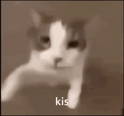 A Close Up Of A Cat With The Word Kis Written On The Bottom GIF