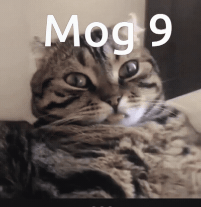 A Close Up Of A Cat With The Word Mog 9 Written Above It GIF