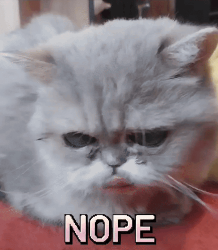 A Close Up Of A Cat With The Word Nope In White Letters GIF