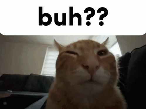 A Close Up Of A Cat With The Words " Buh " Written Above It GIF