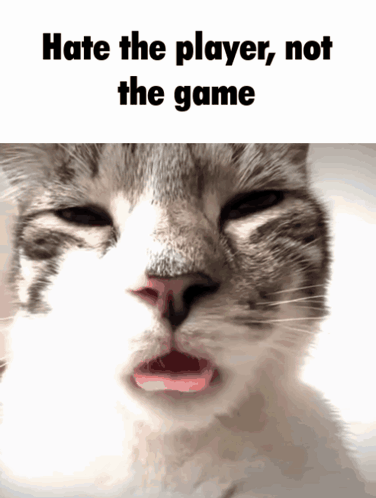 a close up of a cat with the words hate the player not the game