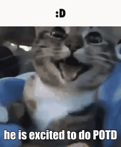 A Close Up Of A Cat With The Words He Is Excited To Do Potd Below It . GIF