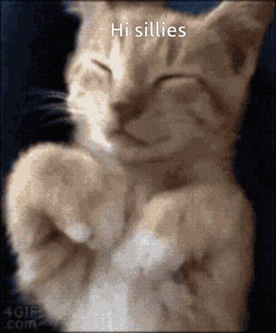 A Close Up Of A Cat With The Words Hi Sillies On The Bottom GIF