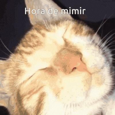 A Close Up Of A Cat With The Words Hora De Mimir On The Bottom GIF