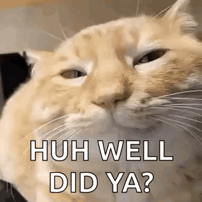 A Close Up Of A Cat With The Words `` Huh Well Did Ya ? '' Written On It . GIF