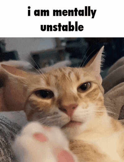 A Close Up Of A Cat With The Words I Am Mentally Unstable On The Bottom GIF