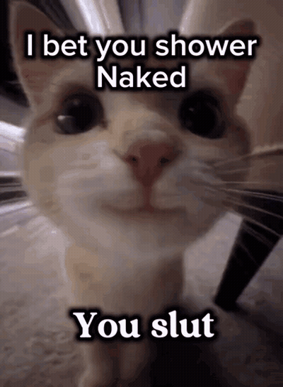 A Close Up Of A Cat With The Words I Bet You Shower Naked You Slut On It GIF