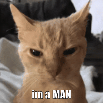 A Close Up Of A Cat With The Words Im A Man On It GIF