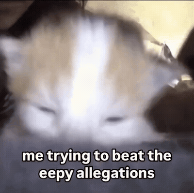 A Close Up Of A Cat With The Words Me Trying To Beat The Eepy Allegations Below It GIF