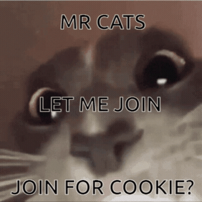 A Close Up Of A Cat With The Words Mr Cats Let Me Join Join For Cookie Written On It GIF