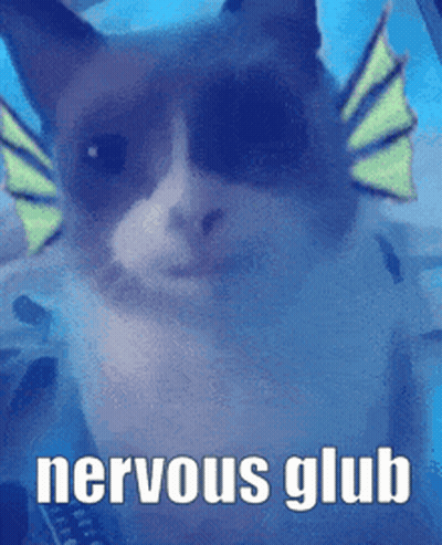A Close Up Of A Cat With The Words Nervous Glub Written Below It GIF