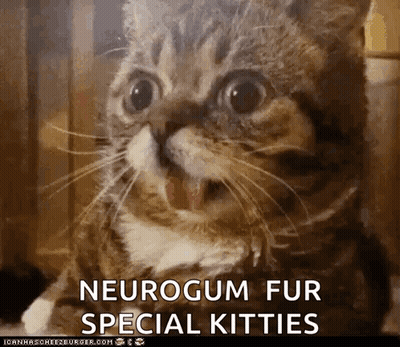A Close Up Of A Cat With The Words Neurogum Fur Special Kitties GIF