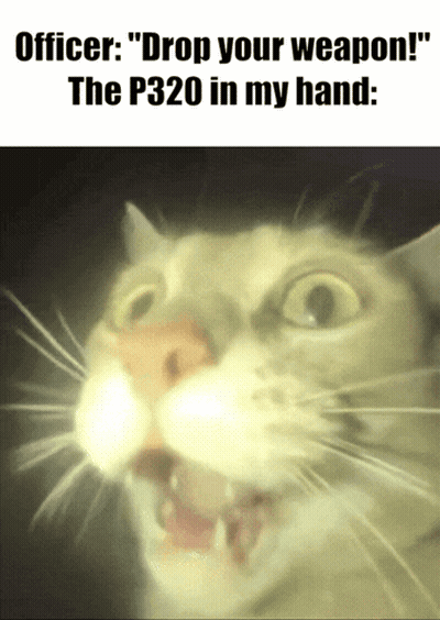 A Close Up Of A Cat With The Words Officer Drop Your Weapon The P320 In My Hand GIF