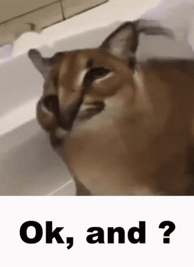 A Close Up Of A Cat With The Words Ok And Written Below It GIF