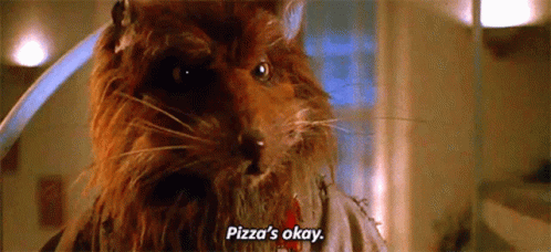 A Close Up Of A Cat With The Words Pizza 'S Okay On It GIF