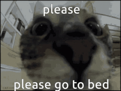 A Close Up Of A Cat With The Words Please Go To Bed Above It GIF