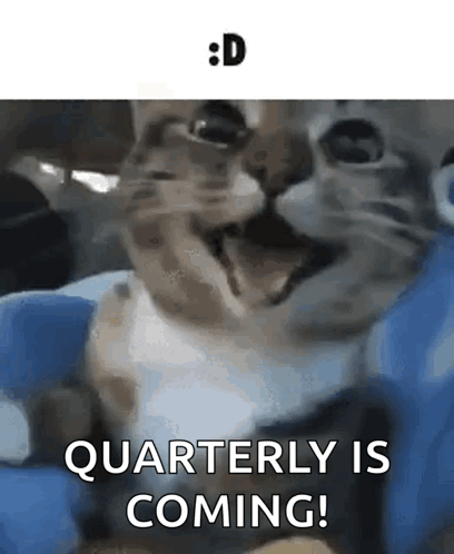 A Close Up Of A Cat With The Words Quarterly Is Coming Below It GIF