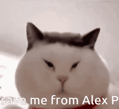 A Close Up Of A Cat With The Words Save Me From Alex P Above It GIF
