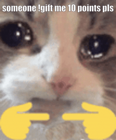 A Close Up Of A Cat With The Words " Someone Gift Me 10 Points Pls " On The Bottom GIF