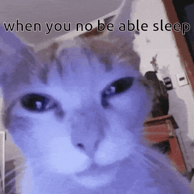 A Close Up Of A Cat With The Words " When You No Be Able Sleep " Below It GIF