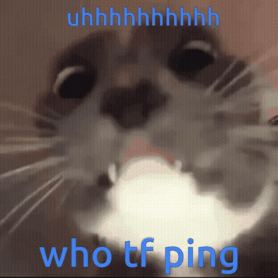 A Close Up Of A Cat With The Words Who Tf Ping On The Bottom GIF