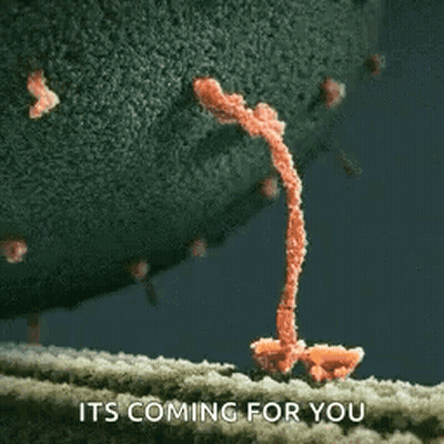 A Close Up Of A Cell With The Words `` It 'S Coming For You '' GIF