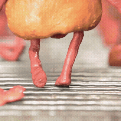 A Close Up Of A Chicken 'S Legs And Feet On A Metal Tray GIF