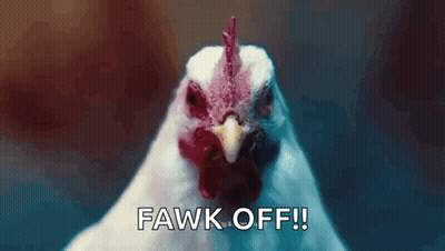A Close Up Of A Chicken With The Words Fawk Off Written On The Bottom GIF