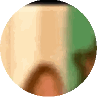 A Close Up Of A Circle With A Green Background Sticker