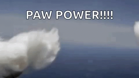 A Close Up Of A Cloud With The Words Paw Power Written On It GIF