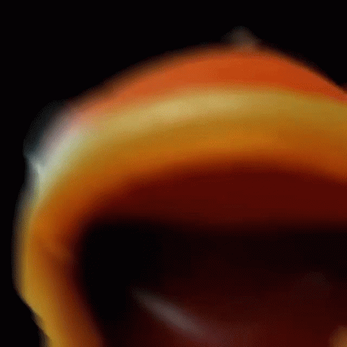 A Close Up Of A Colorful Circle On A Black Background GIF