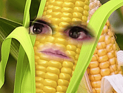 A Close Up Of A Corn Cob With A Person 'S Face On It GIF