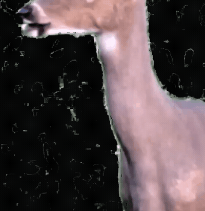A Close Up Of A Deer 'S Neck With A Black Background GIF