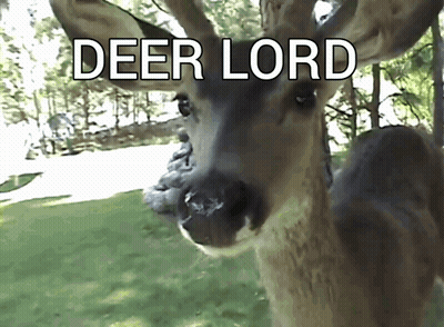 A Close Up Of A Deer With The Words Deer Lord Written On It GIF